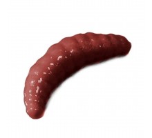 Силиконовая приманка Trout Zone Maggot 1,6" цвет красно-коричневый