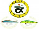 Grows Culture Rige 90